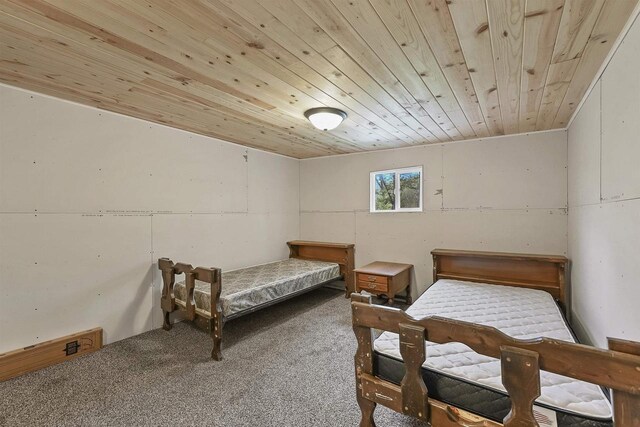 W13670 Brooks Ln, Crivitz, WI 54114 - bedroom with carpet flooring and wooden ceiling