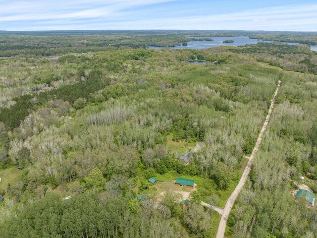 W13670 Brooks Ln, Crivitz, WI 54114 - drone / aerial view featuring a wooded view and a water view