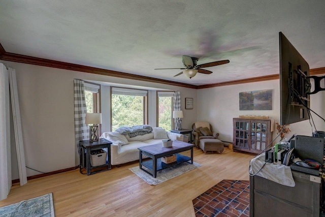 504 Lake St, Mount Horeb, WI 53572 - living room with ceiling fan, crown molding, light wood finished floors, and baseboards