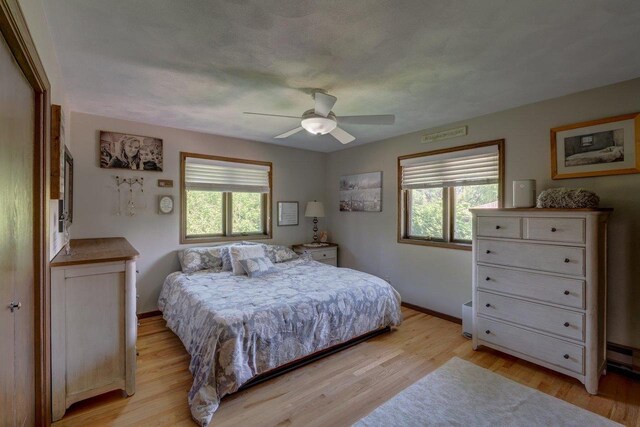 504 Lake St, Mount Horeb, WI 53572 - bedroom featuring baseboards, light wood-style flooring, and a ceiling fan