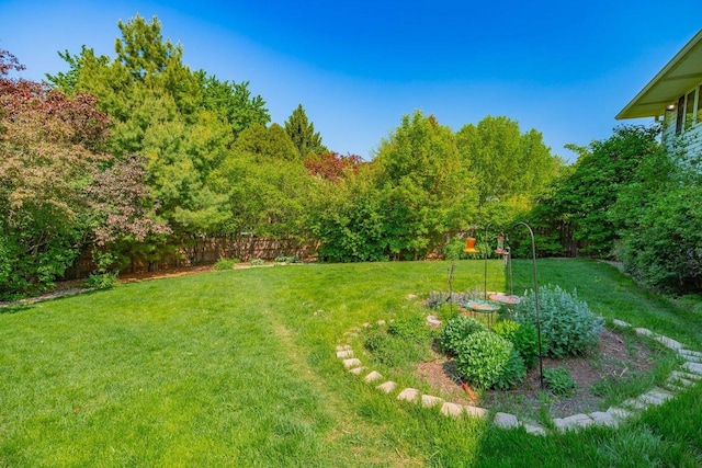 504 Lake St, Mount Horeb, WI 53572 - view of yard