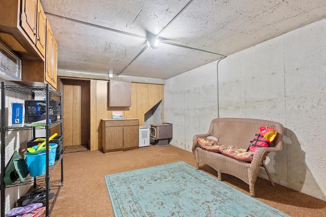 N4823 Peppler Ln, Wild Rose, WI 54984 - living area with light carpet