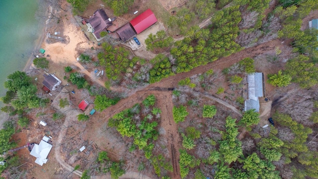 N4823 Peppler Ln, Wild Rose, WI 54984 - aerial view