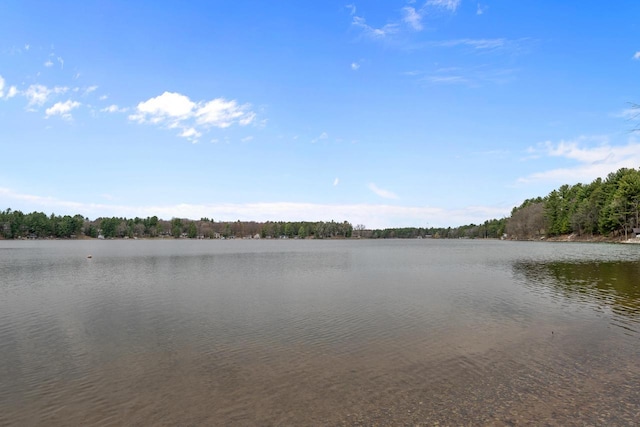 N4823 Peppler Ln, Wild Rose, WI 54984 - property view of water