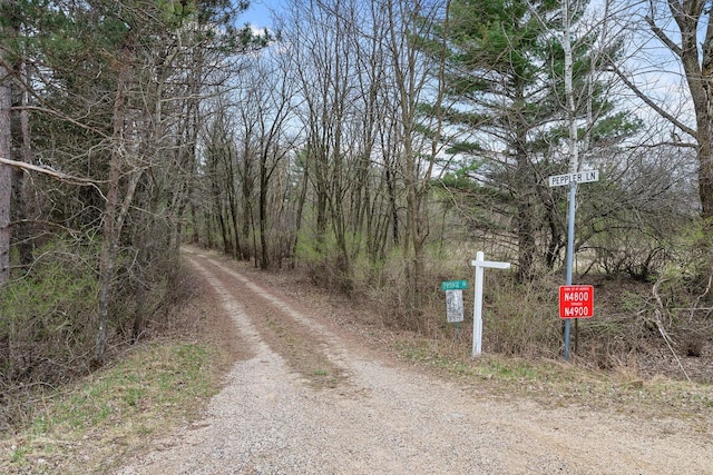N4823 Peppler Ln, Wild Rose, WI 54984 - view of street featuring a view of trees