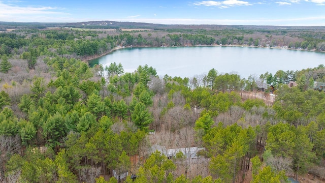 N4823 Peppler Ln, Wild Rose, WI 54984 - bird's eye view with a water view and a forest view