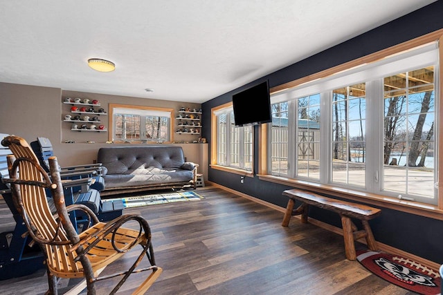 living area featuring wood finished floors and baseboards