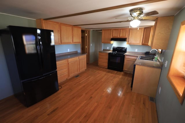 50220 Turkey Ridge Rd, Gays Mills, WI 54631 - kitchen featuring under cabinet range hood, a sink, light wood-type flooring, black appliances, and ceiling fan
