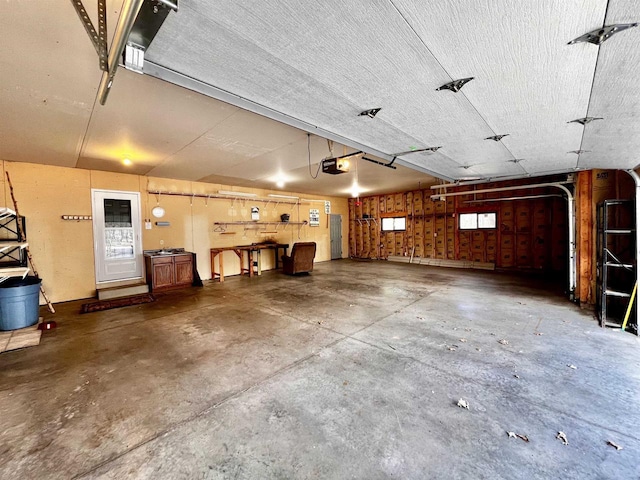489 Sir Winston Trl, Nekoosa, WI 54457 - garage featuring a garage door opener