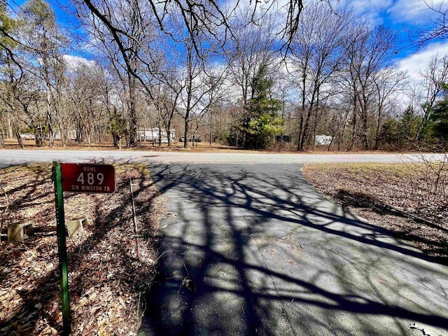 489 Sir Winston Trl, Nekoosa, WI 54457 - view of asphalt street