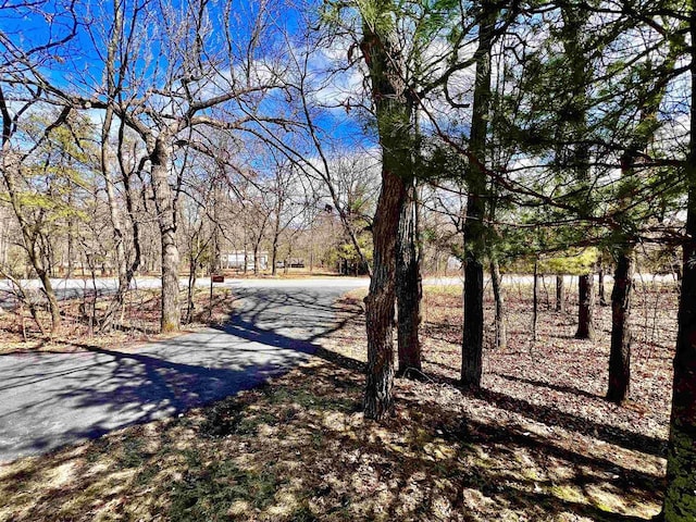 489 Sir Winston Trl, Nekoosa, WI 54457 - view of yard
