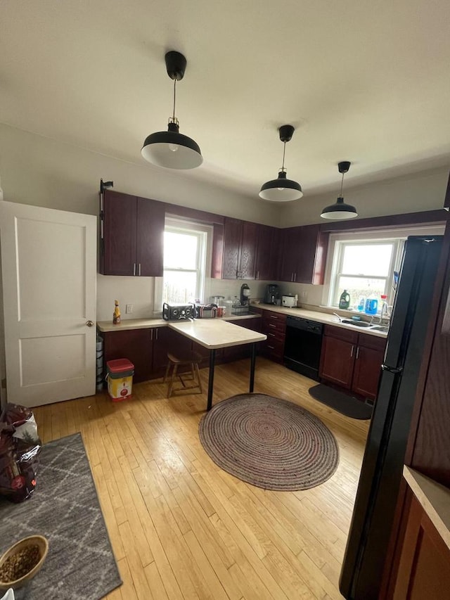 kitchen featuring light wood-style floors, hanging light fixtures, a wealth of natural light, and black appliances