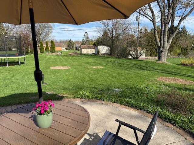 view of yard with a patio and a trampoline