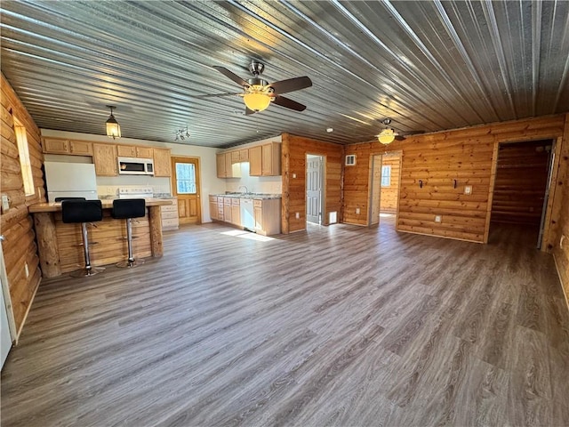 4607N Koeppler Rd, Ojibwa, WI 54862 - unfurnished living room with wood finished floors, a ceiling fan, and a sink