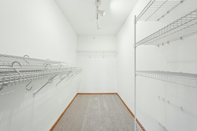 walk in closet with carpet