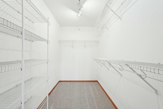 spacious closet featuring carpet flooring