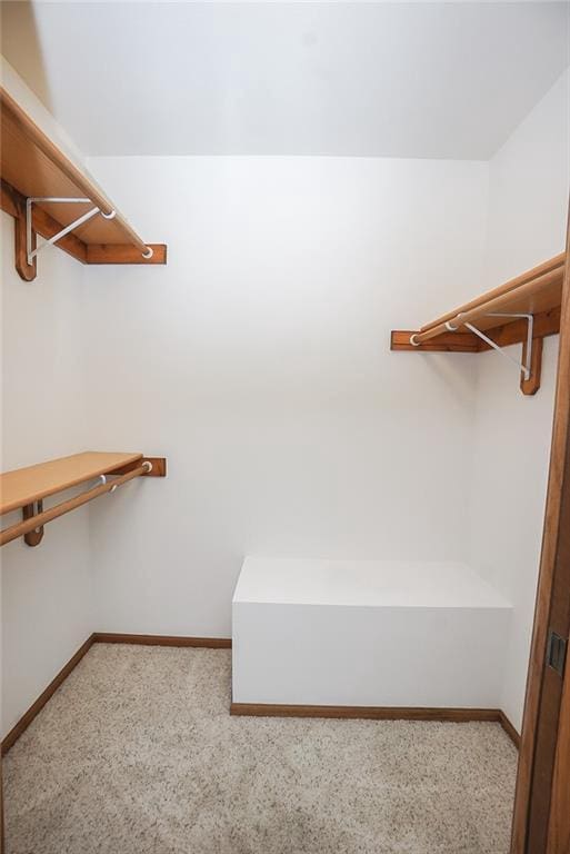1613 Chumas Dr, Eau Claire, WI 54701 - spacious closet featuring carpet flooring
