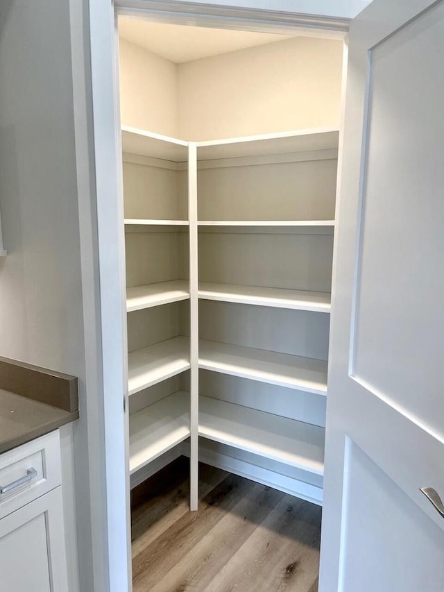 W255S5377 Primrose Ln, Waukesha, WI 53189 - view of pantry