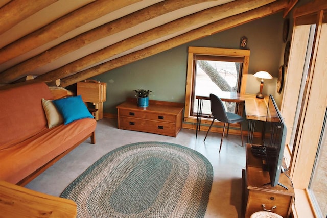 5664 N Dutch Hollow Rd, Potosi, WI 53820 - living area featuring lofted ceiling