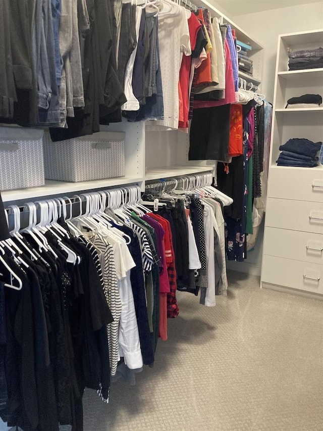 4922 Saint Annes Dr, Waunakee, WI 53597 - walk in closet with carpet