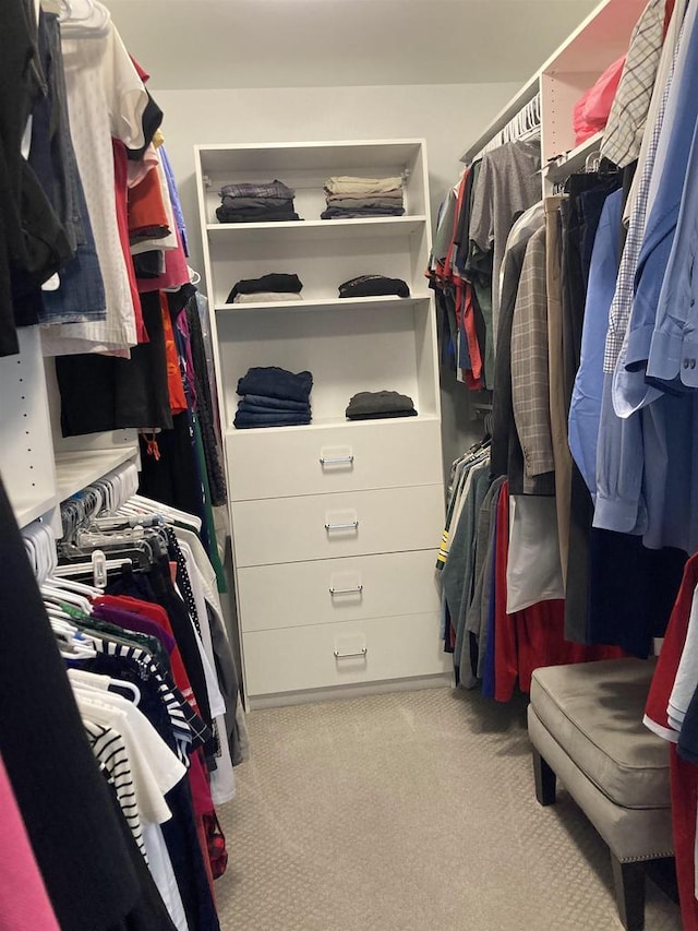 4922 Saint Annes Dr, Waunakee, WI 53597 - walk in closet with carpet floors