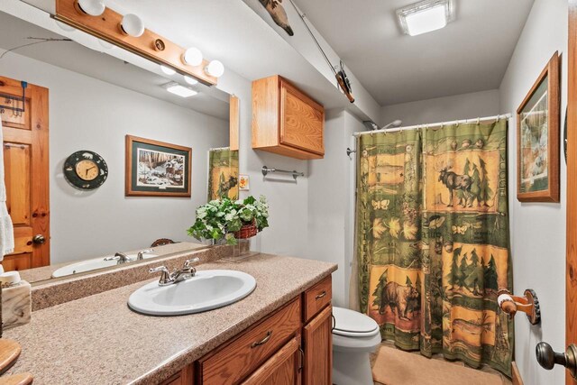 full bathroom featuring toilet, a shower with shower curtain, and vanity