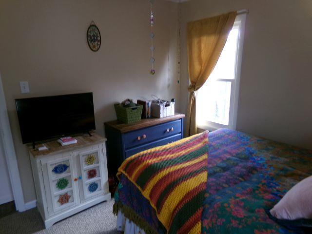 carpeted bedroom with multiple windows