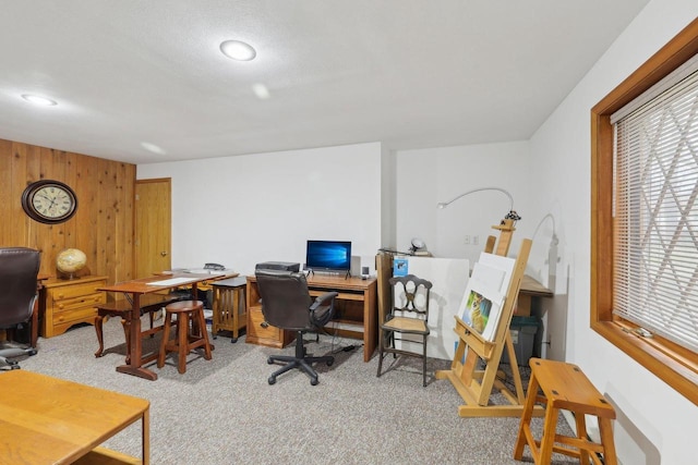 N7589 Lakeside Dr, Portage, WI 53901 - carpeted office space with wood walls and recessed lighting