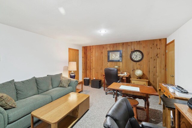 N7589 Lakeside Dr, Portage, WI 53901 - living area featuring wooden walls and carpet