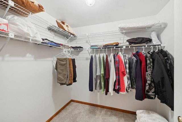 N7589 Lakeside Dr, Portage, WI 53901 - spacious closet featuring carpet flooring