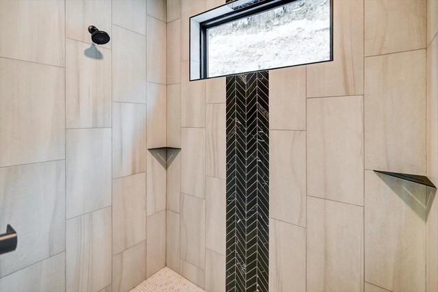 4021 Red Hawk Run, Black Earth, WI 53515 - full bathroom with a tile shower