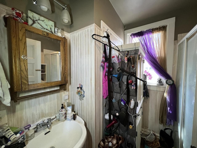 201 Bonito St, Walworth, WI 53184 - bathroom featuring a sink, a wealth of natural light, and a stall shower