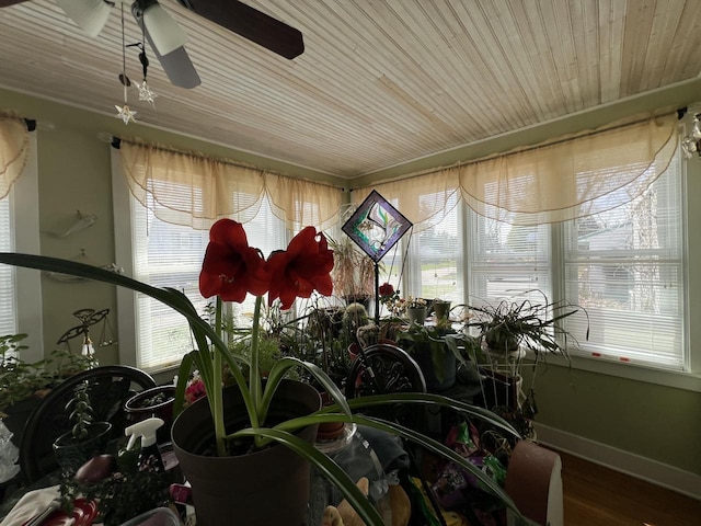 201 Bonito St, Walworth, WI 53184 - sunroom / solarium with a healthy amount of sunlight
