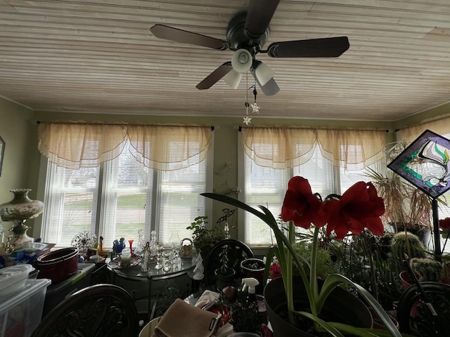 201 Bonito St, Walworth, WI 53184 - view of sunroom