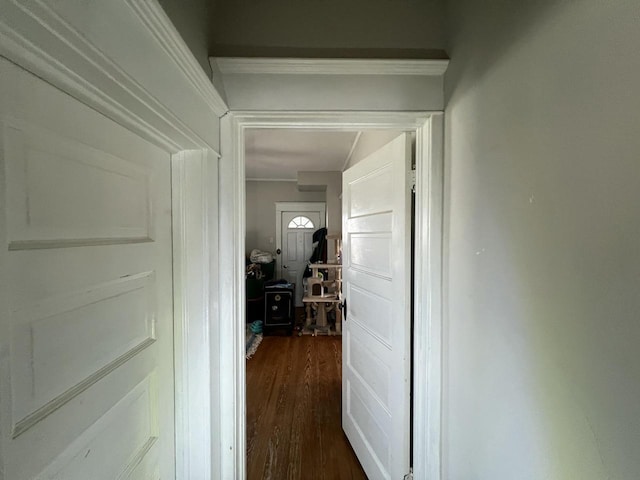 201 Bonito St, Walworth, WI 53184 - corridor with dark wood finished floors and ornamental molding