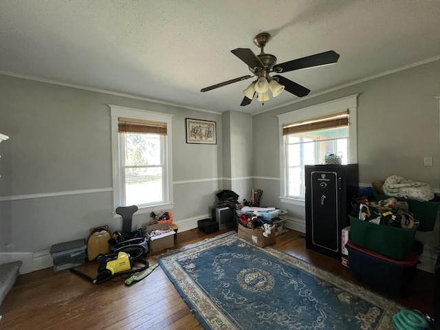 201 Bonito St, Walworth, WI 53184 - interior space with ceiling fan, ornamental molding, hardwood / wood-style floors, and plenty of natural light