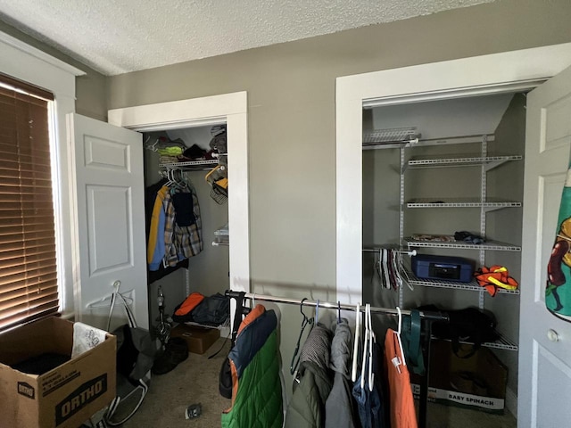 201 Bonito St, Walworth, WI 53184 - interior space with carpet flooring and a textured ceiling