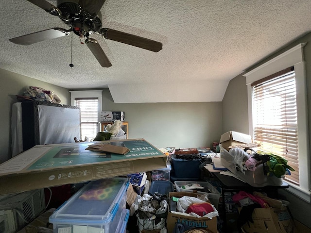 201 Bonito St, Walworth, WI 53184 - home office featuring lofted ceiling, a textured ceiling, and ceiling fan