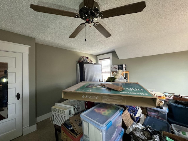 201 Bonito St, Walworth, WI 53184 - interior space featuring carpet floors, a textured ceiling, and a ceiling fan