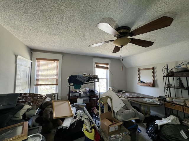 201 Bonito St, Walworth, WI 53184 - bedroom with lofted ceiling, a textured ceiling, ceiling fan, and multiple windows