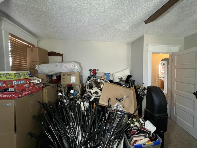 201 Bonito St, Walworth, WI 53184 - storage with ceiling fan