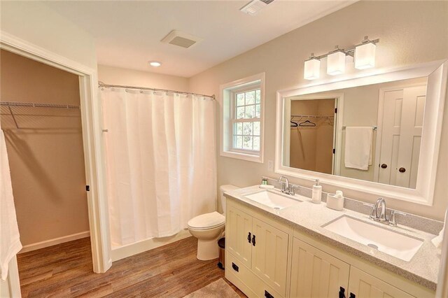 10230 Olker Rd, Hayward, WI 54843 - bathroom with wood finished floors, a sink, double vanity, and toilet