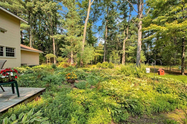 3340 Arbor Vitae Ln, Plover, WI 54467