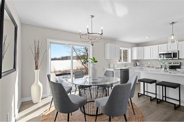 30410 72nd Avenue Way, Cannon Falls, MN 55009 - dining area featuring baseboards, a wealth of natural light, a chandelier, and light wood-style floors