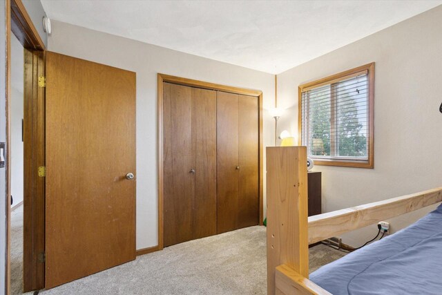 bedroom with carpet flooring and a closet