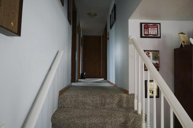 2282 Collier Ct, Green Bay, WI 54311 - stairs featuring carpet flooring and baseboards