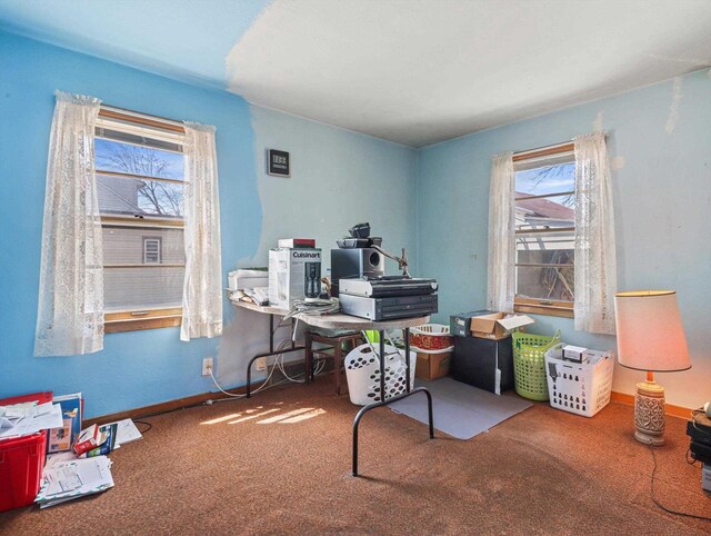 1802 S Ridge Rd, Green Bay, WI 54304 - office space with baseboards and carpet floors