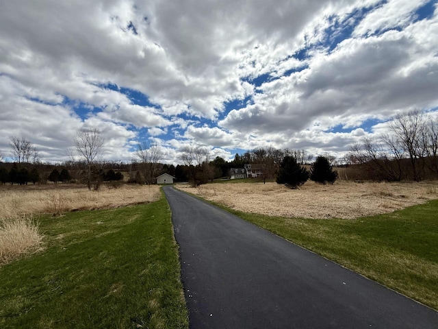 view of road featuring a rural view and driveway