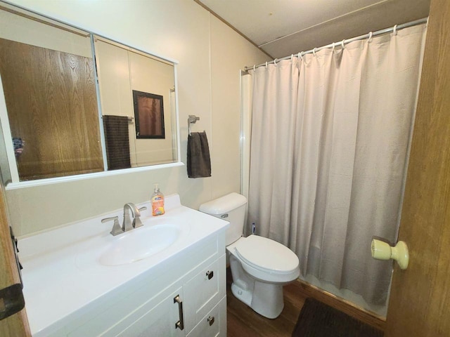 N9140 Snow Snake Trl, Necedah, WI 54646 - full bath with wood finished floors, toilet, vanity, and curtained shower