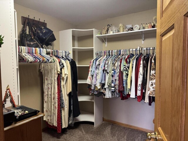 W360S10139 Markham Rd, Eagle, WI 53119 - walk in closet with carpet